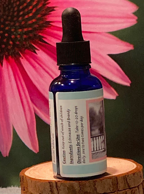 Echinacea Tincture in Vodka