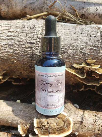 Turkey Tail Tincture in Brandy