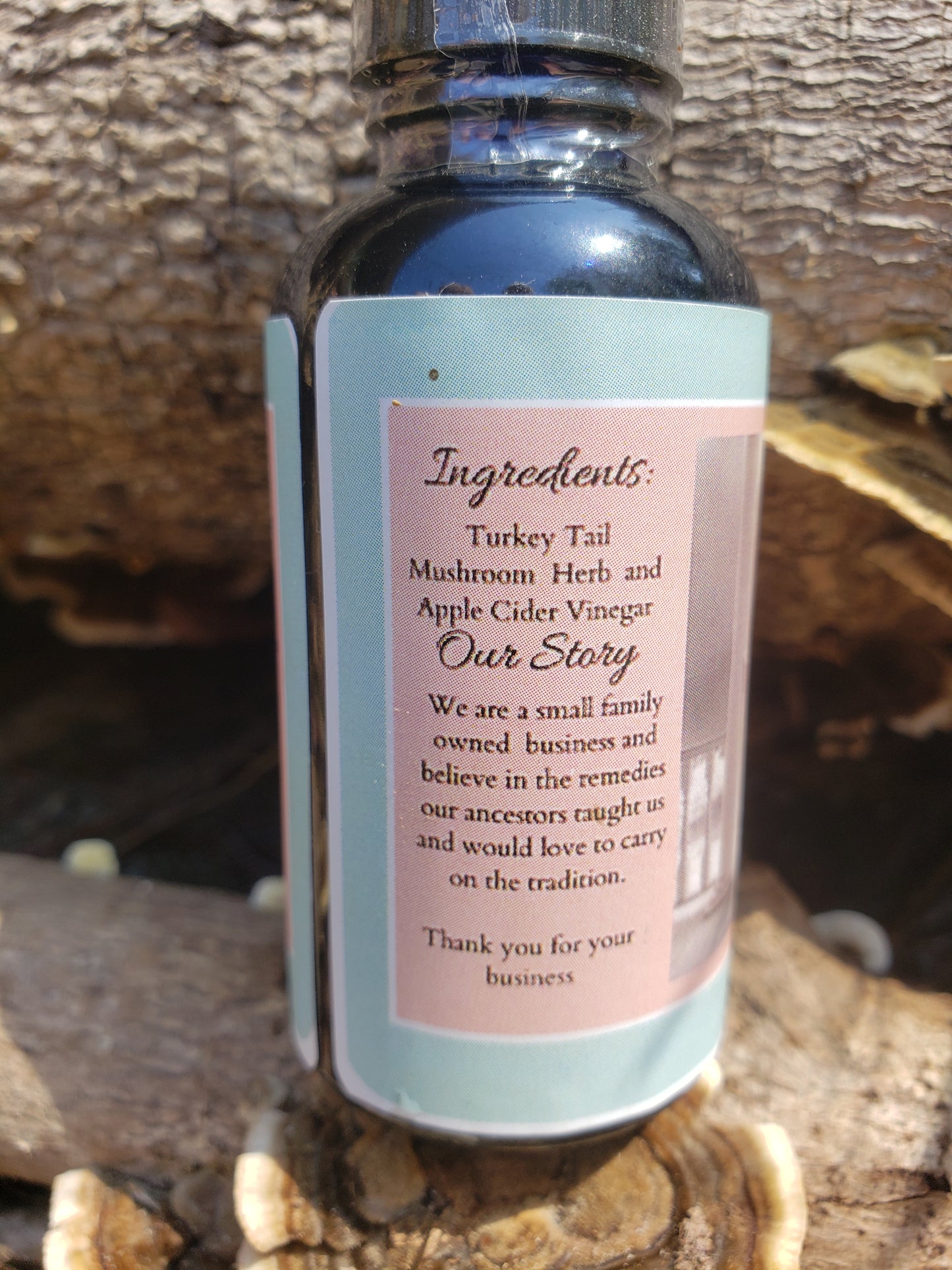 Turkey Tail Tincture in Apple Cider Vinegar