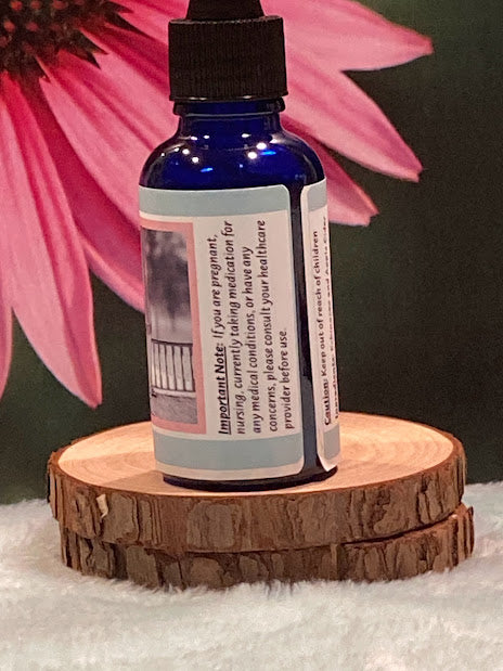 Echinacea Tincture in Apple Cider Vinegar