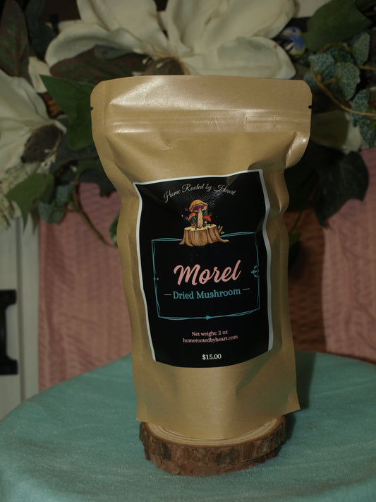 Morel Mushroom