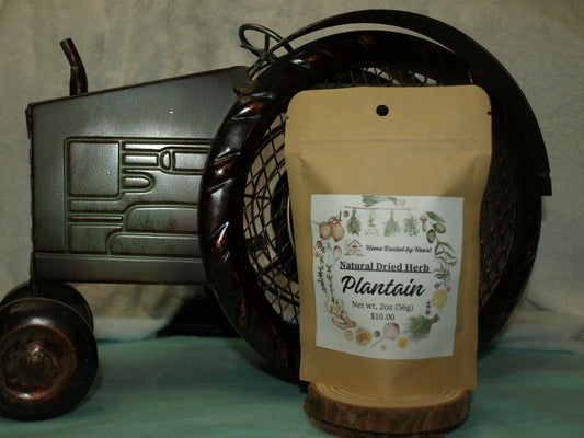 Plantain Dried Herb